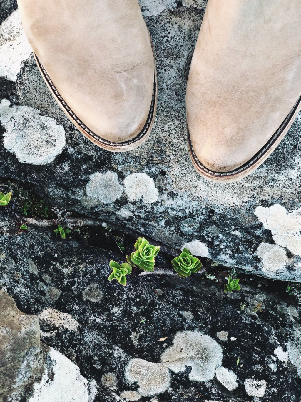 New Year, Renewed&nbsp;Intentions