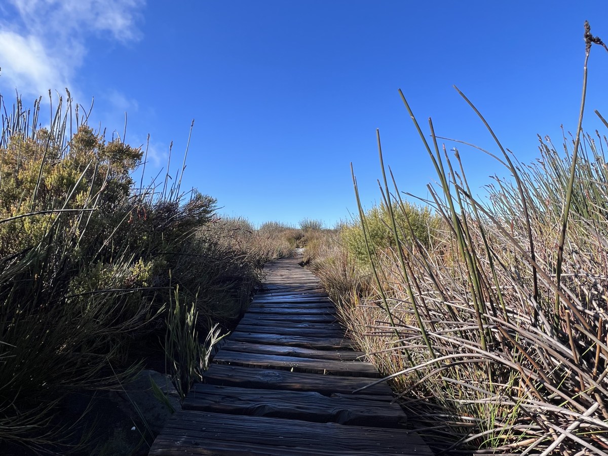 things to do in Cape&nbsp;Town